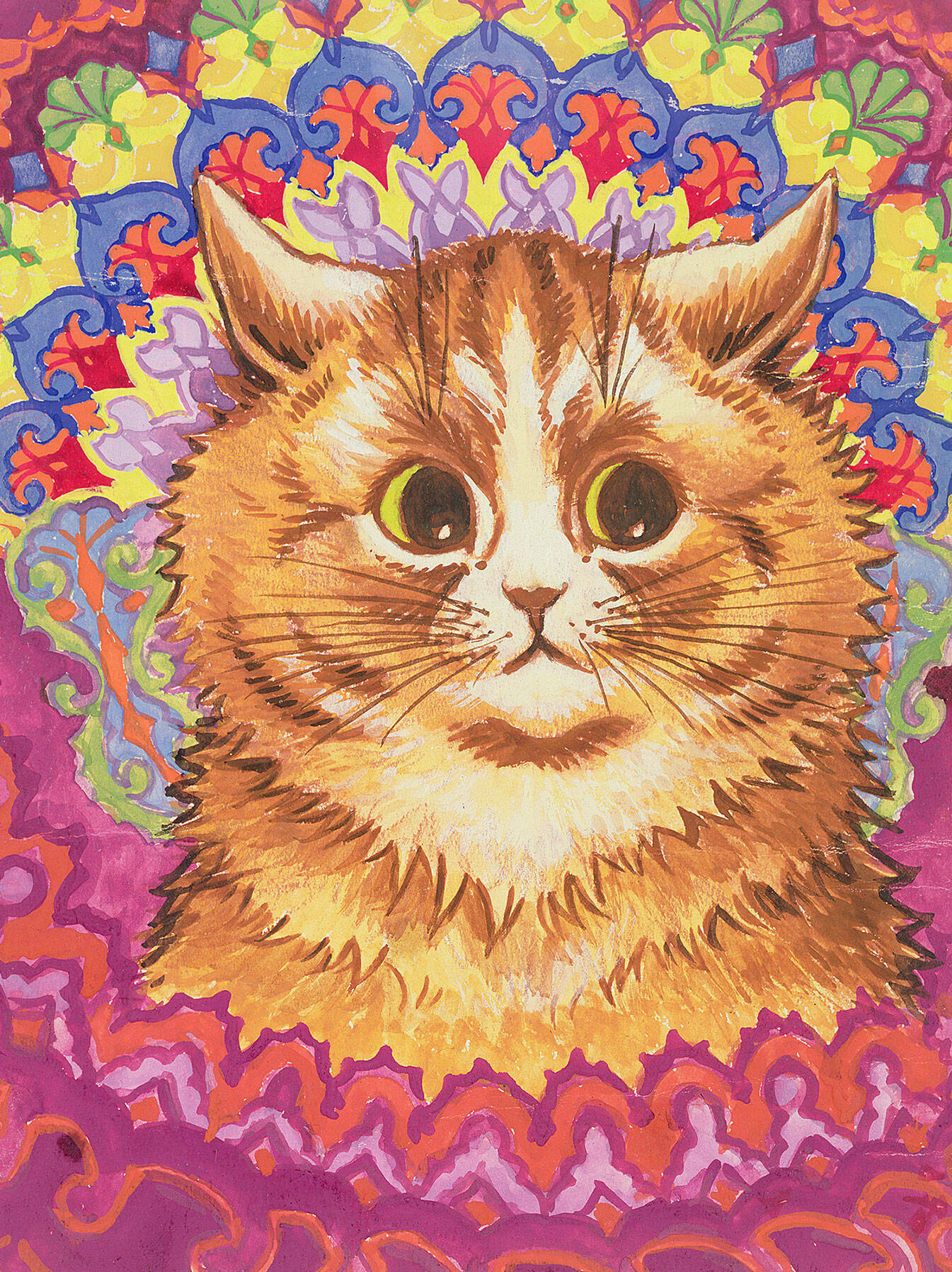 A psychotic cat - orange fluffy cat surrounded by multicoloured mandala