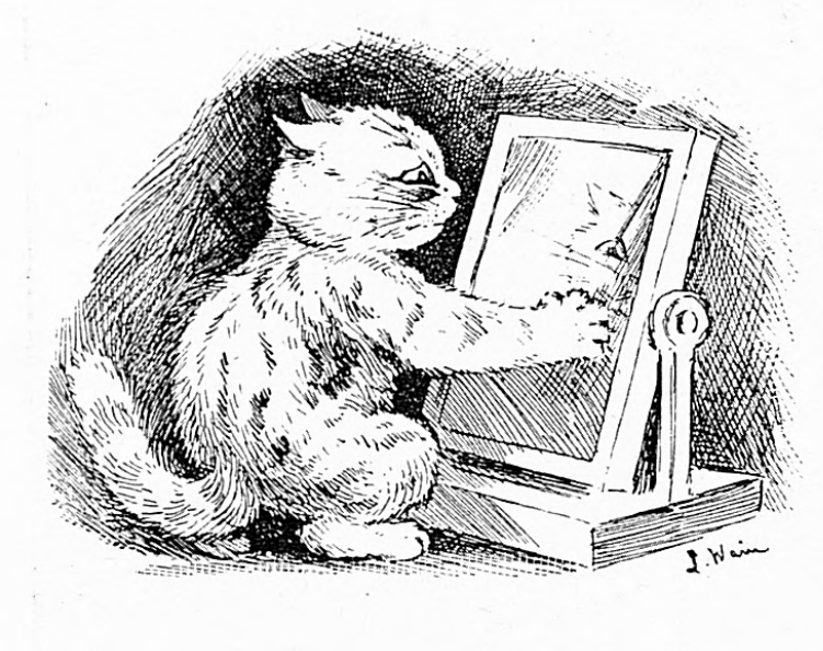 A Puzzle for Puss (1899) A puzzle for puss - a kitten gazes into a mirror, confused at its own reflection